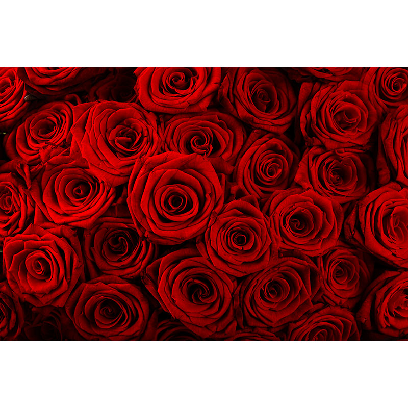 Ταπετσαρία χώρου με Red Roses